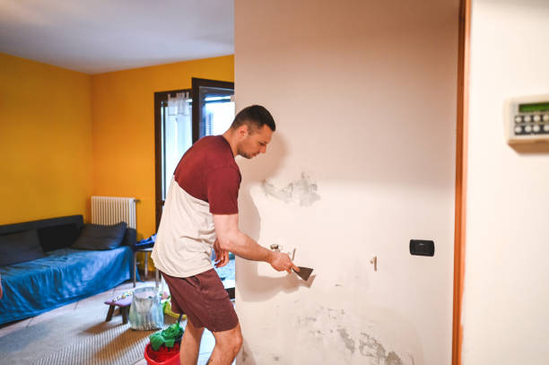 Best Local Mold Removal Service  in Amargosa Valley, NV